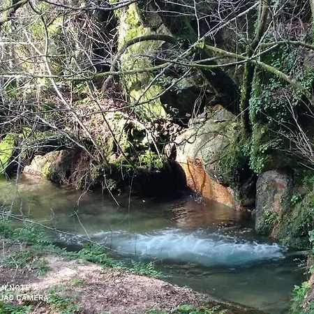 O Billanco Picona