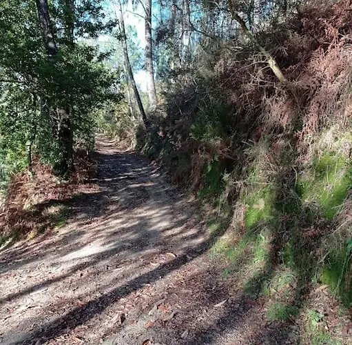 Villa ヴィラ Picona